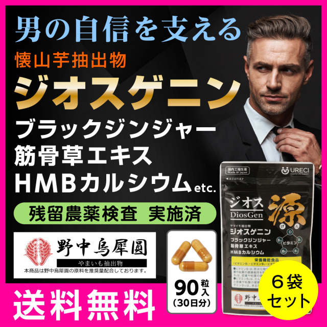 ジオス源90粒入り(6袋セット) ジオスゲニン サプリ サプリメント