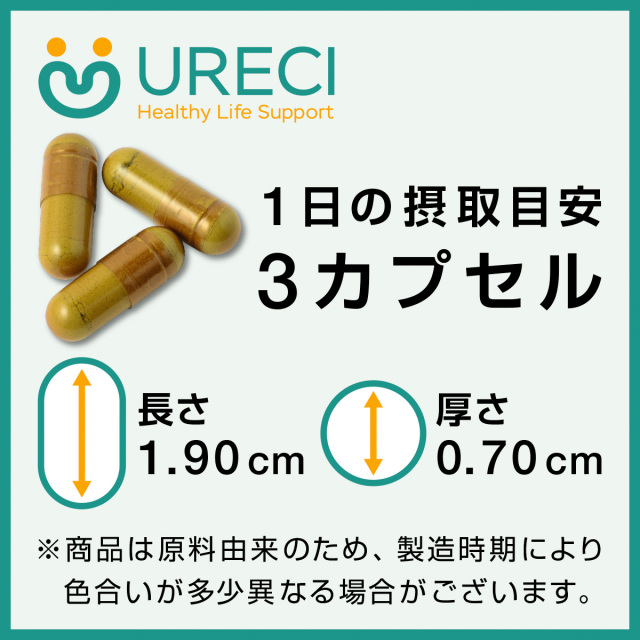 ネテビューティー(試食用30粒) クワンソウ サプリ サプリメント