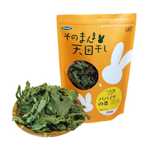 乾燥 パパイヤの葉 5キロ 楽天市場】パパイヤの葉 乾燥の通販