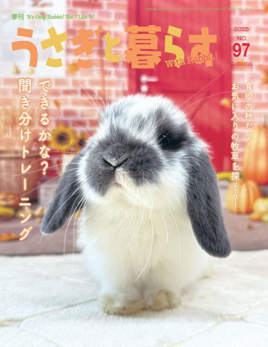 書籍・カレンダー