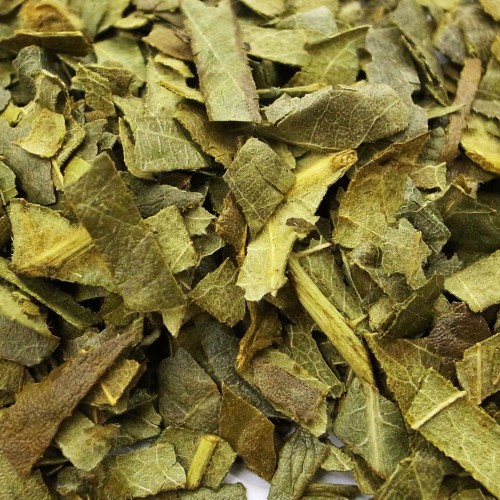 乾燥 ビワの葉 20g