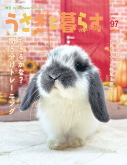 うさぎさん u-tan shirokun on X: 