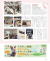 うさぎと暮らす９９号