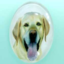 ２５×１８　グラスカメオ　レトリーバー