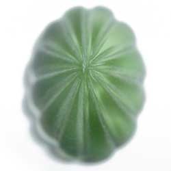 １８×１３　グラスカボ　フロストグリーン＆ブラック