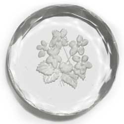 ３５ｍｍ　グラスインタリオ　スミレ