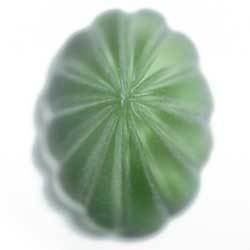 １８×１３　グラスカボ　フロストグリーン＆ブラック