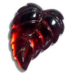 １５×１２　グラスカボ　リーフ　レッド