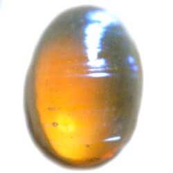 ６×４　グラスカボ　ドラゴンズブレス