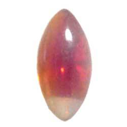 １０×５　ナベット　ルビーサブリナ