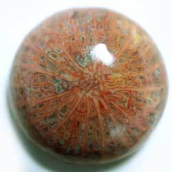 コーラルアゲート　１３．８ｍｍ　ラウンド 