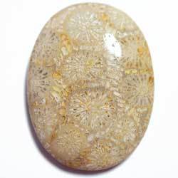 ３６．６×２７．５　オーバル　菊目石
