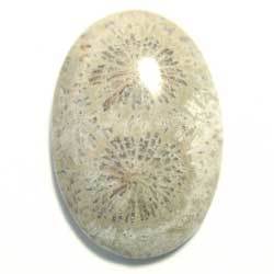 ２７．６×１９　ロングオーバル　菊目石