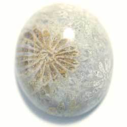 ２１．８××１８．４　オーバル　菊目石