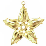 10×6 ペアマルチセッティング 星 金