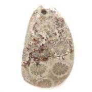 菊目石（コーラルアゲート・フォッシルコーラル）天然カボション