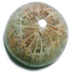 コーラルアゲート　１３．５ｍｍ　ラウンド 