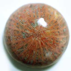 コーラルアゲート　１３．８ｍｍ　ラウンド 