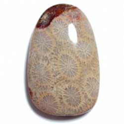 ３１．３×２０　変形オーバル　菊目石