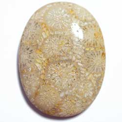 ３６．６×２７．５　オーバル　菊目石