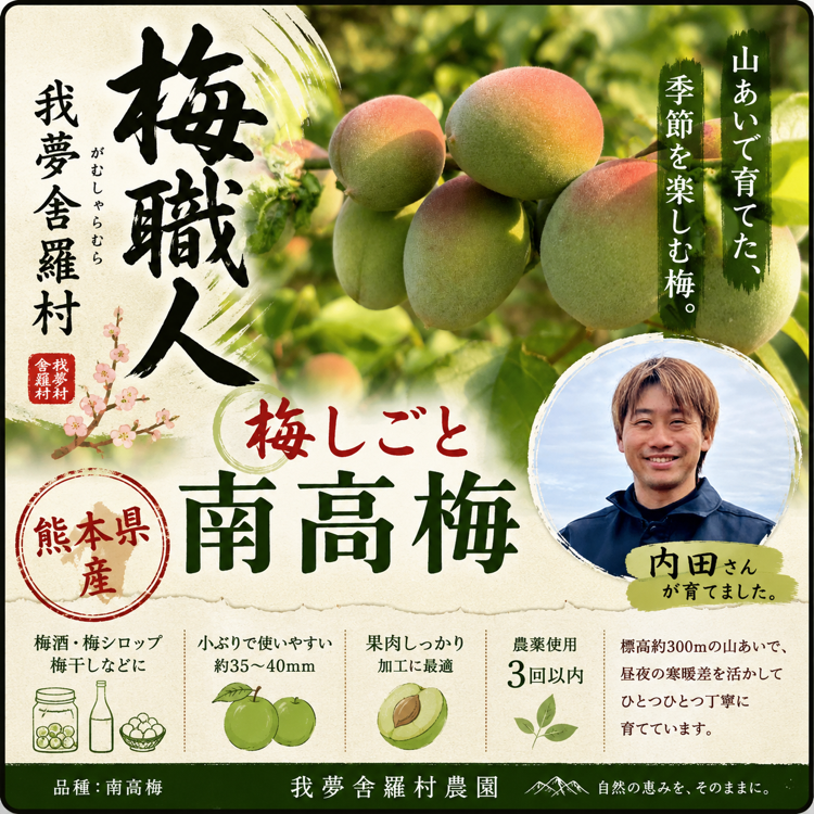 梅しごと南高梅4kg 【ご家庭用】