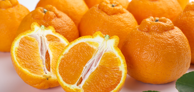 やさしい不知火（しらぬひ）　2キロ～　〇送料無料（北海道・沖縄1,000円）