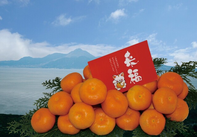 （贈答向けギフト）（年末年始のご挨拶）！福みかん「大吉」（青島みかん）2.5キロ※糖度センサー基準合格品（2L~M）☆送料無料☆（北海道・沖縄は除く）