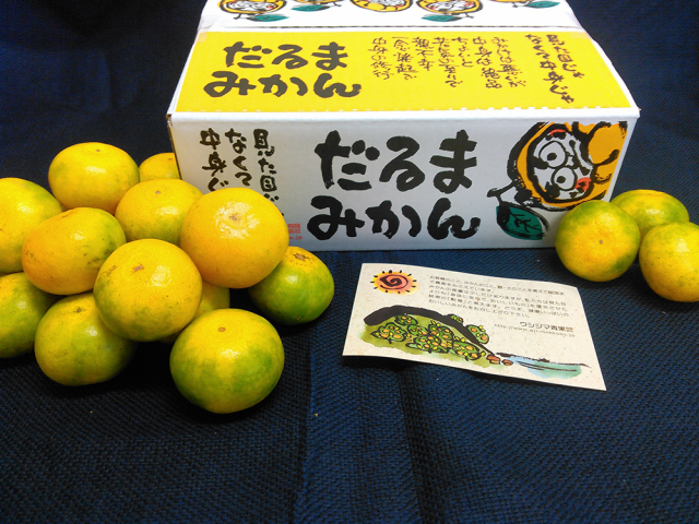 極早生だるま箱1