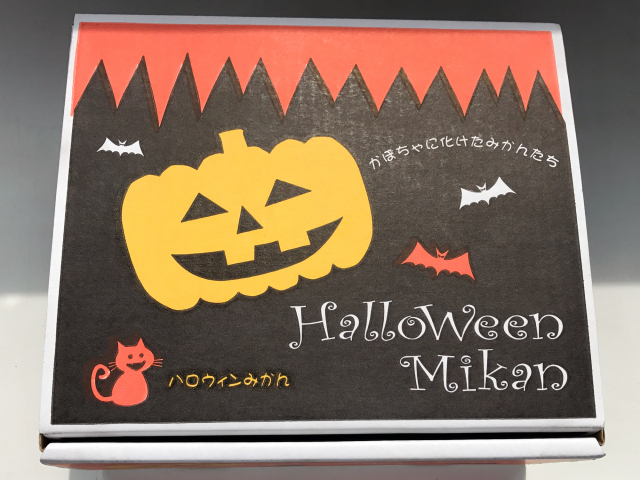 ハロウインみかん２kg（センサー合格品）