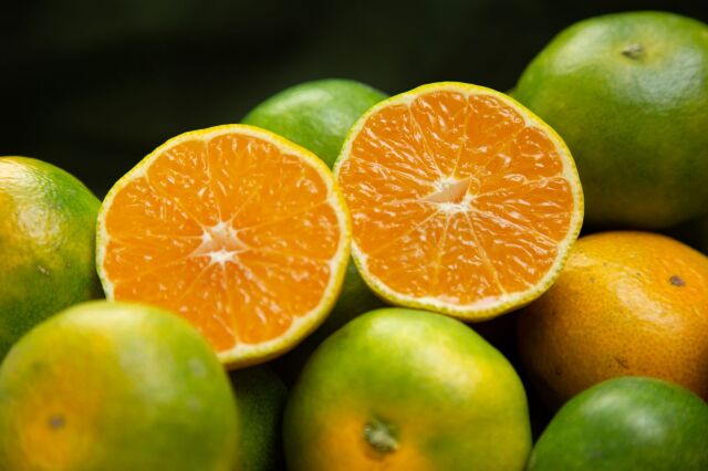 予約販売)ハロウィンみかん ハロインウィーク！限定価格実付き