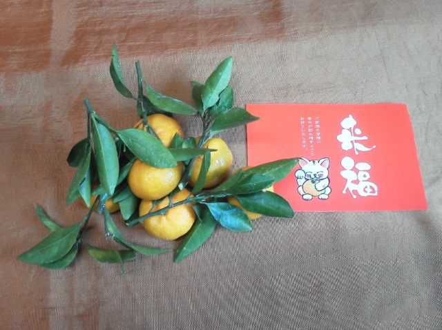 （贈答向け）（年末限定）熊本県産　葉付小みかん 2K・4K・6K・8K★送料無料（北海道・沖縄は除く）★