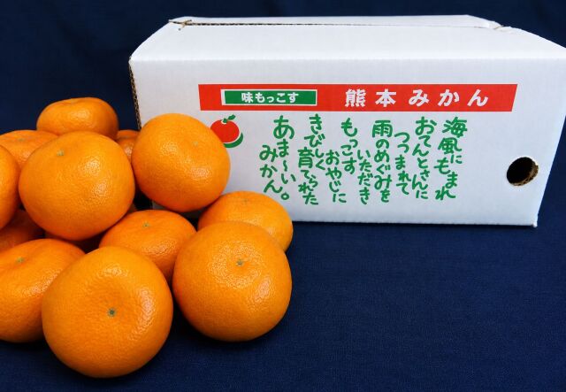 もっこすみかん(早生・中生みかん)　送料込【味ギフト】