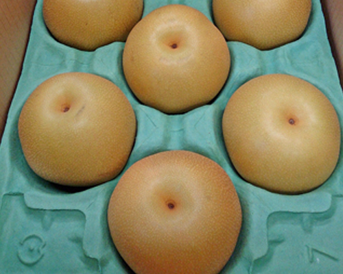 もんく梨の箱入り