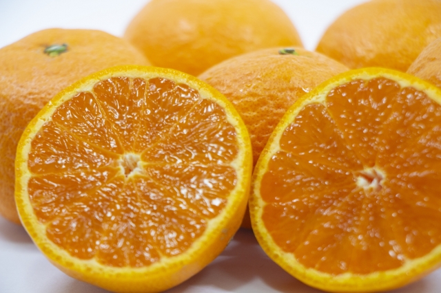 至福の南津海（なつみ）2.5キロ～　○送料無料（北海道・沖縄は1,000円）