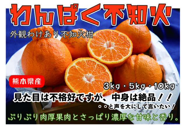 わんぱく不知火