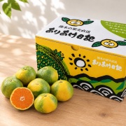 ありあけ日記　豊福みかん