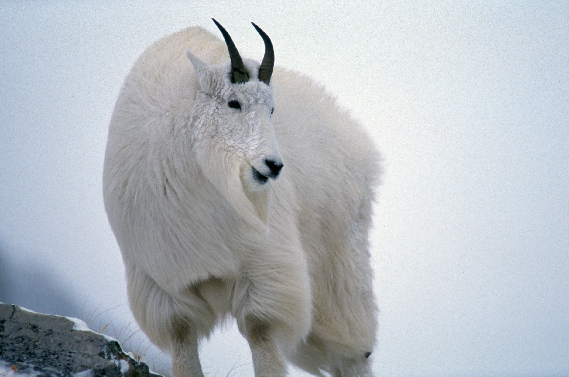 原田純夫の写真 No. 4