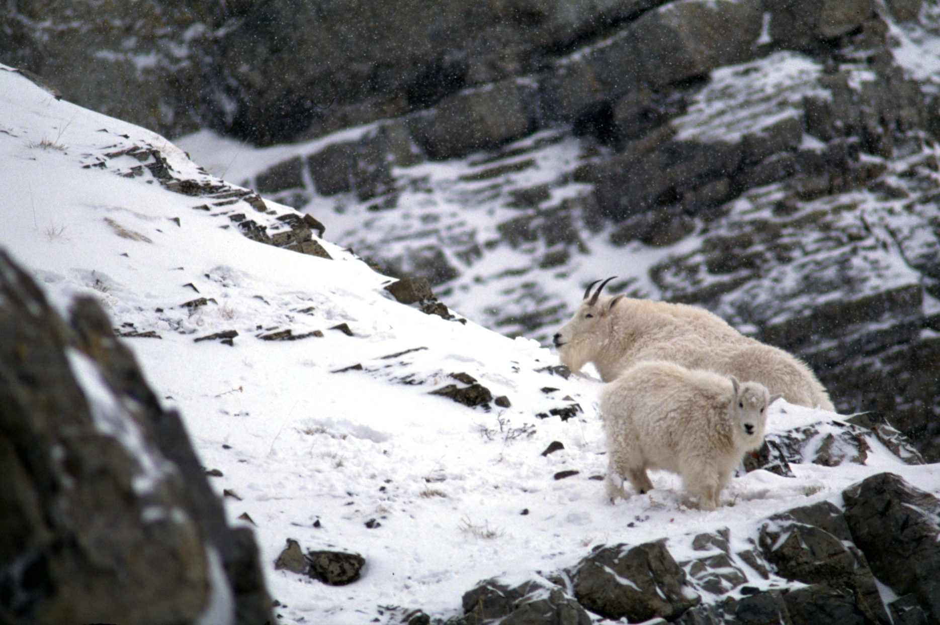 原田純夫の写真 No. 7