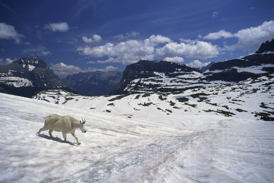 原田純夫の写真 No. 1