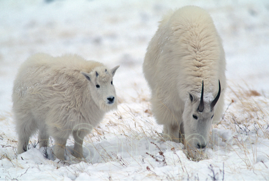 原田純夫の写真 No. 2