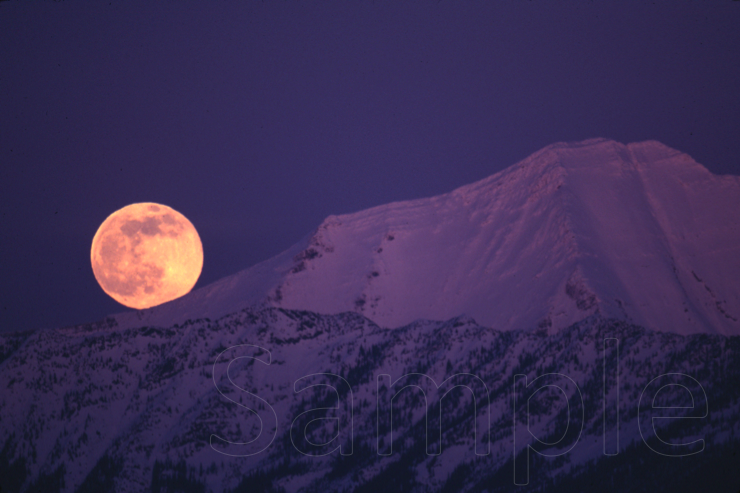 原田純夫の写真 No. 5