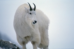 原田純夫の写真 No. 4