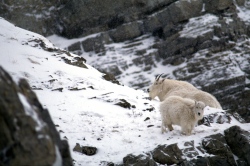 原田純夫の写真 No. 7