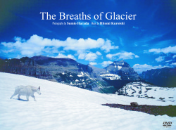 【タイムセール】【ぬいぐるみ付♪】美しの里（ロッキー山脈編）～The Breaths of Glacier (DVD)