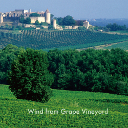 Wind from Grape Vineyard（恋する葡萄）