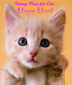 Relaxing Music for Cats～ Happy Heart