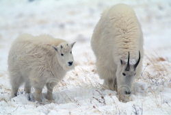 原田純夫の写真 No. 2