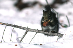 原田純夫の写真 No. 3