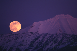 原田純夫の写真 No. 5