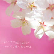 ハープで聴く美しの里　朝川朋之／黒石ひとみ